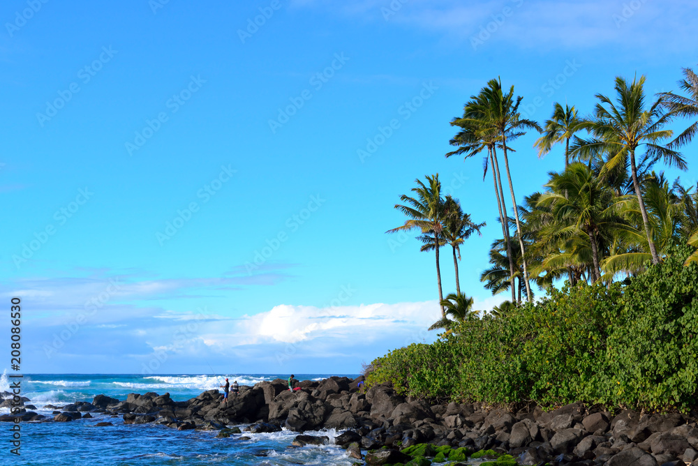 Rocky area near coast and blue sky, Haleiwa, Hawaii