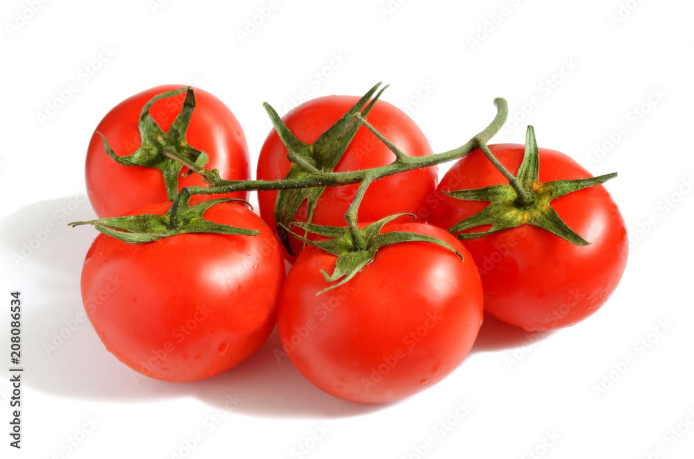 Tomato branch close-up on white background Tomato branch close-up on white background