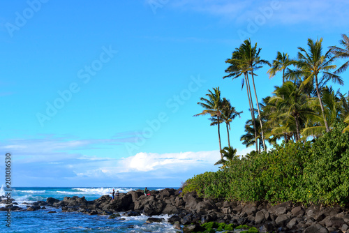 Rocky area near coast and blue sky, Haleiwa, Hawaii