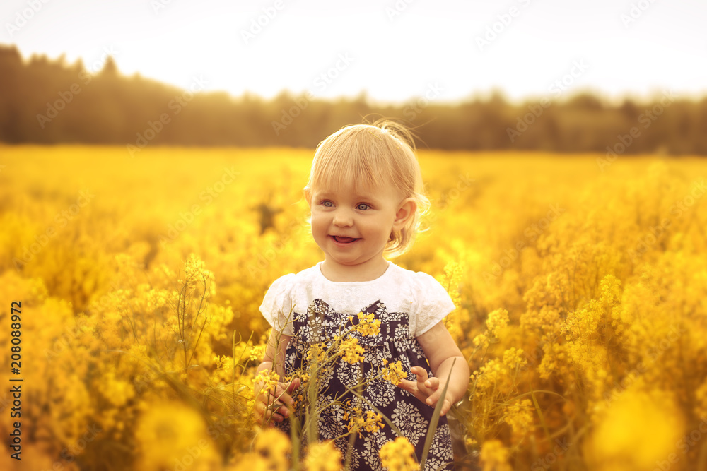 Pretty little girl in a field at sunset. Pretty little girl in a field at sunset.