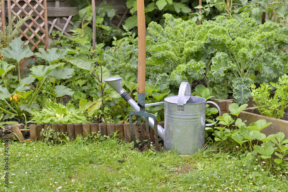 watering can and spade in front of vegetable garden watering can and spade in front of vegetable garden