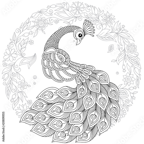 Peacock in zentangle style. Adult antistress coloring page.