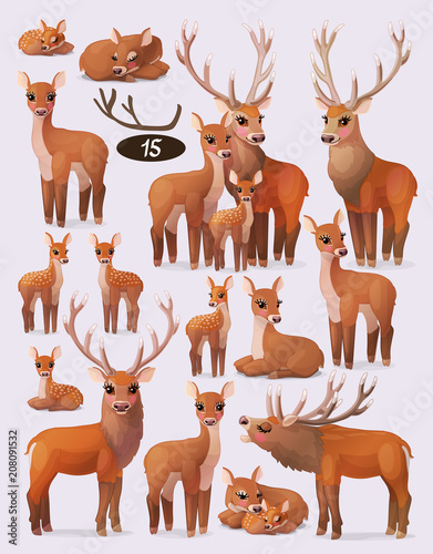 vector red deer (cervus elaphus) family flock set
