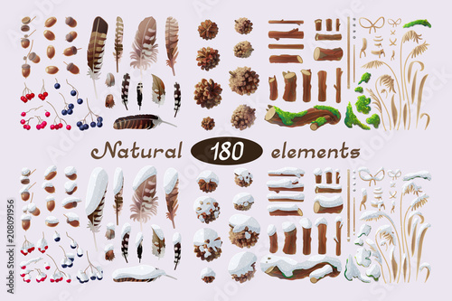 vector Set natural design patterns of wild forest