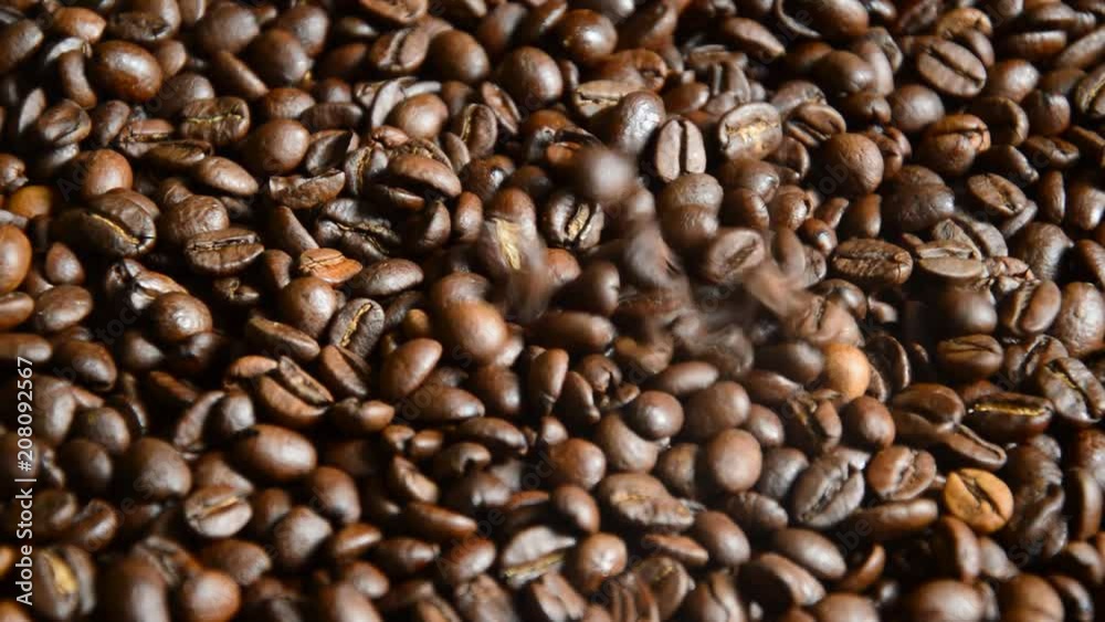 Coffee Beans Closeup Coffee Beans Closeup