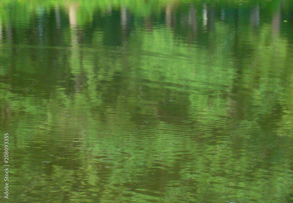 View on the green water surface View on the green water surface