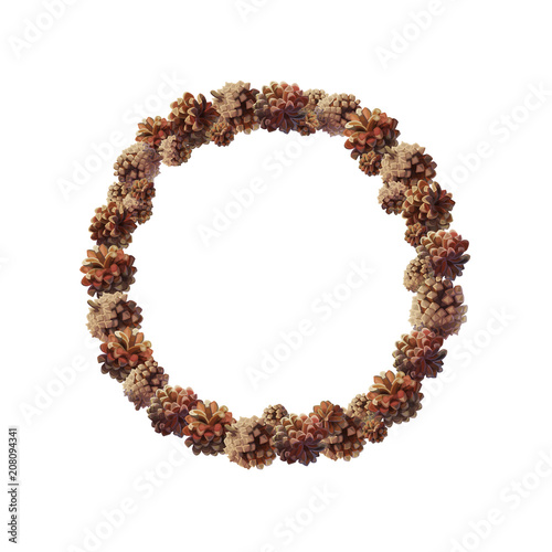 vector Winter, christmas, xmas, new year wreath 