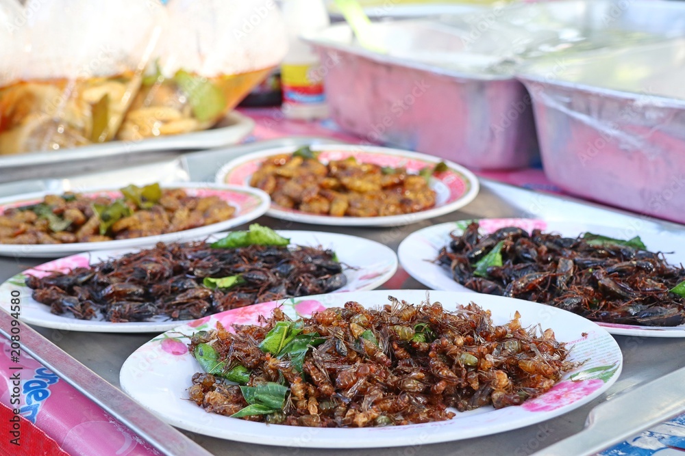 Fried Insect at street food Fried Insect at street food