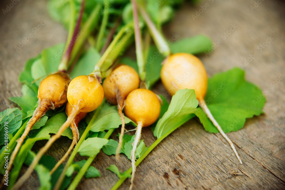 Ripe black, orange and yellow carrots, radish with parsley and thyme. Dark stone background. Autumn harvest Ripe black, orange and yellow carrots, radish with parsley and thyme. Dark stone background. Autumn harvest