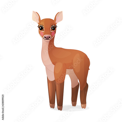vector red deer young doe. Cervus elaphus, reindeer 08