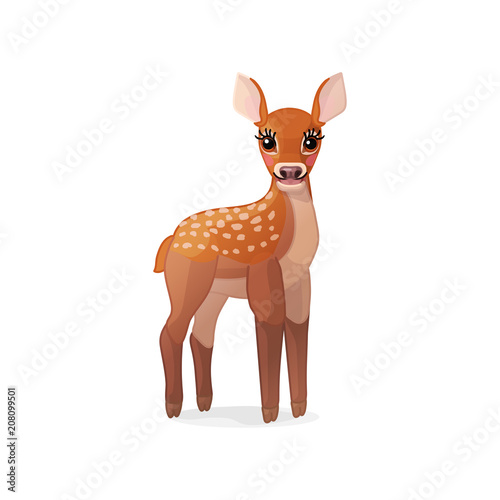 vector spotty fawn, baby red deer, young little bambi 04