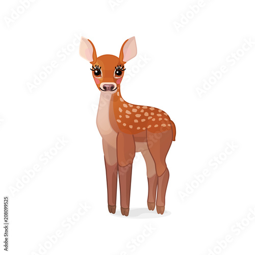 vector spotty fawn, baby red deer, young little bambi 05
