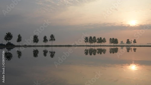 A silhouetted tractor passes by flooded paddies used for growing rice in the Asti-Vercelli-Novara region. Poplar trees dividing fields are reflected in the still water of the paddy field 
