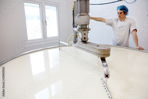 Cheese maker slicing the curds in the vat photo