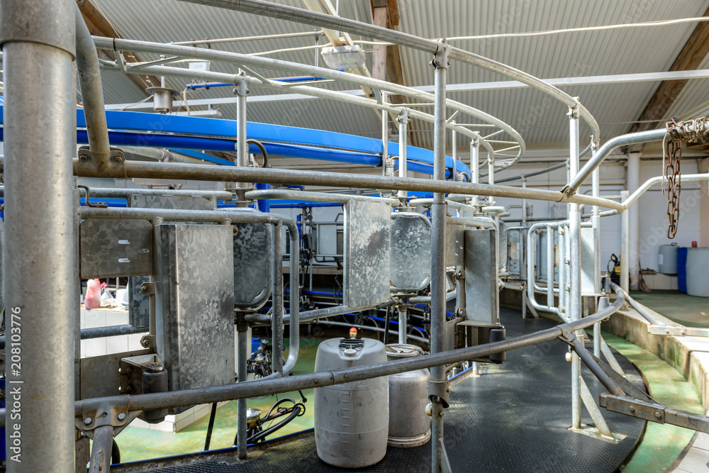Milking equipment in the dairy farm.