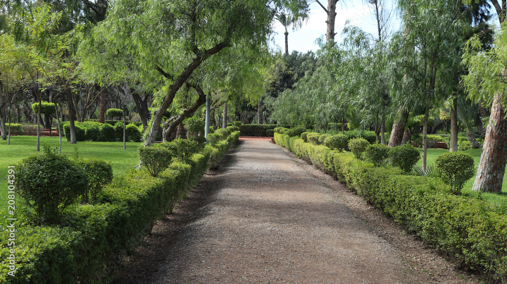 Park i ścieżka z zielenią wokół