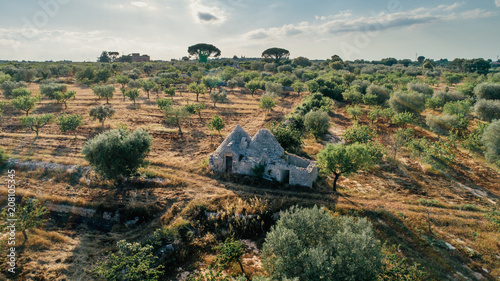 Trullo trulli old whitr House in the field in Italy