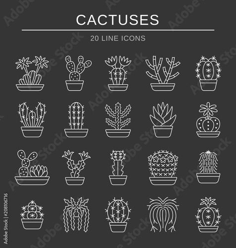 Cacti. Desert plants for terrariums and rock gardens. Line icon set. photo