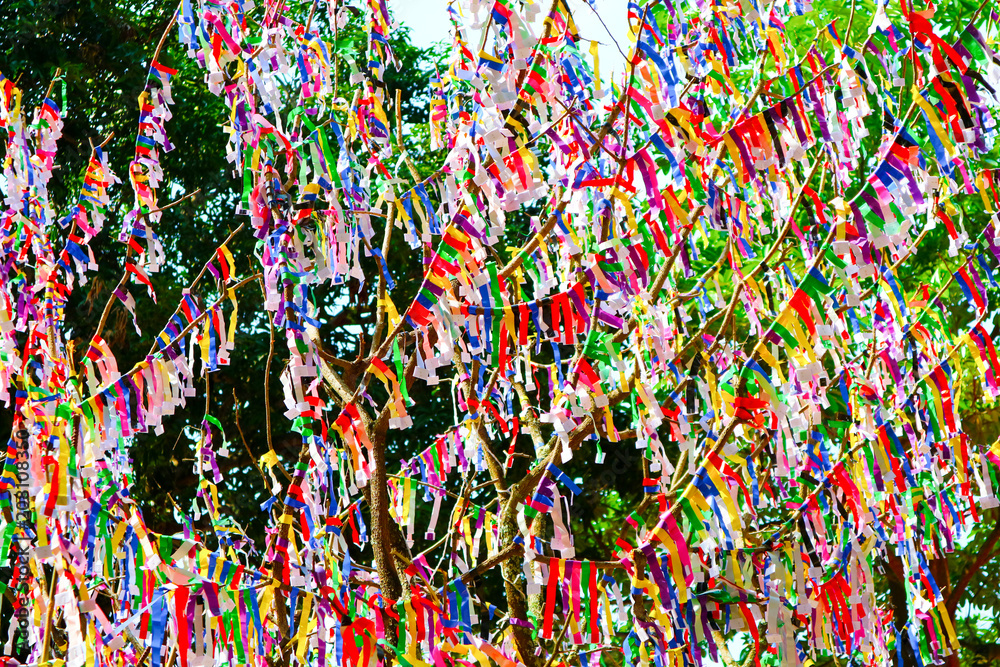 lottery on tree is random lottery colorful paper and buy lottery to choose reward