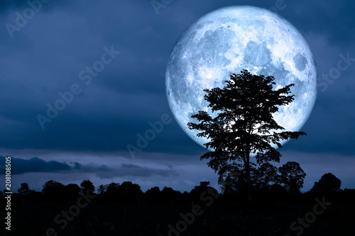 super moon back over on silhouette tree in night sky