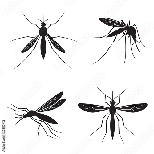 monochrome collection of four mosquito with stinger