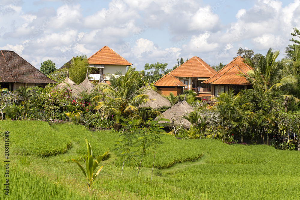 Tropical house with a tiled roof among rice fields. Bali, Ubud, Indonesia