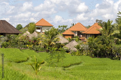 Tropical house with a tiled roof among rice fields. Bali, Ubud, Indonesia