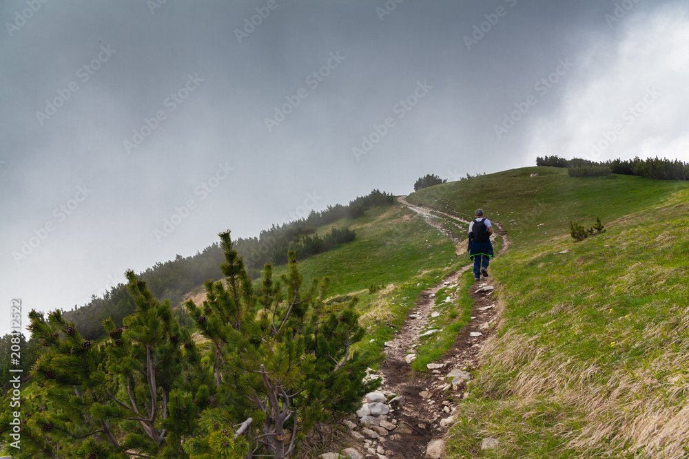 Fototapeta premium Italy Abruzzo National park of Majella