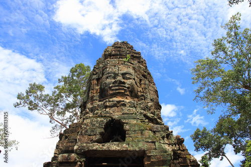 Part of a Ta Prohm temple, Siem Reap, Cambodia.