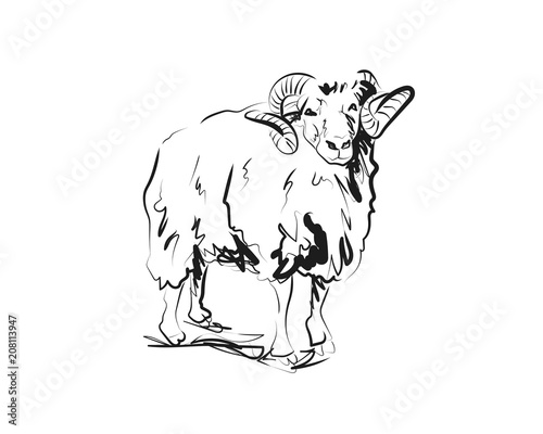 Vector sketch of ram