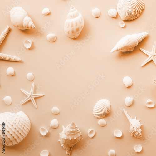 Top view of seashell set with copy space on color background..Summer, holiday,travel concept