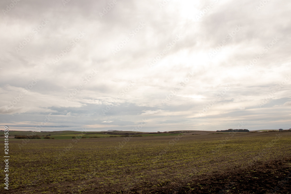 sky field clouds cloudy landscaping scenery summer hill land horizon storm view weather countryside mountain outdoors sky field clouds cloudy landscaping scenery summer hill land horizon storm view weather countryside mountain outdoors