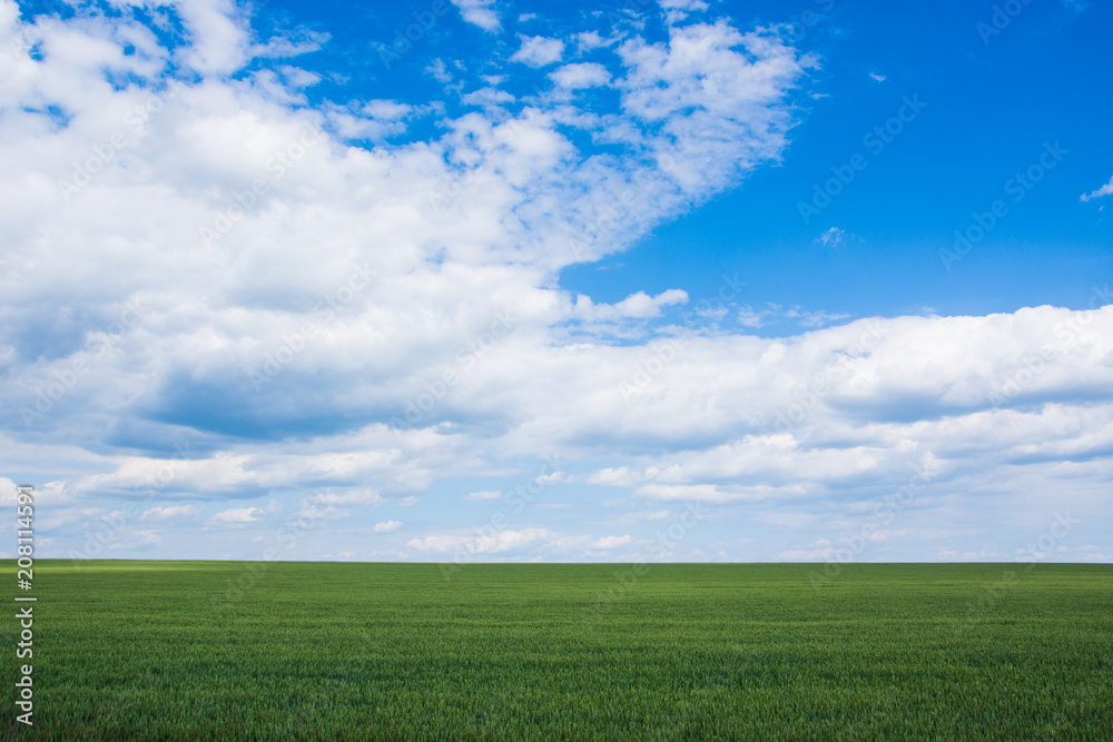 Landscape, large green field and blue sky with clouds Landscape, large green field and blue sky with clouds