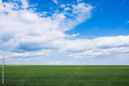 Landscape, large green field and blue sky with clouds