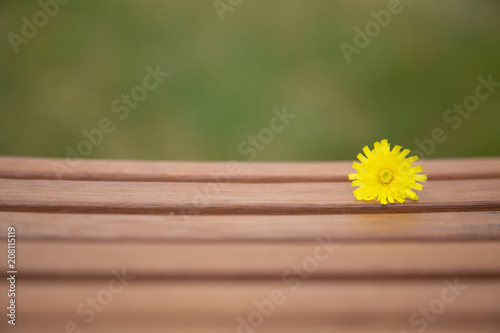 Background design with wooden plank and beautiful yellow flower