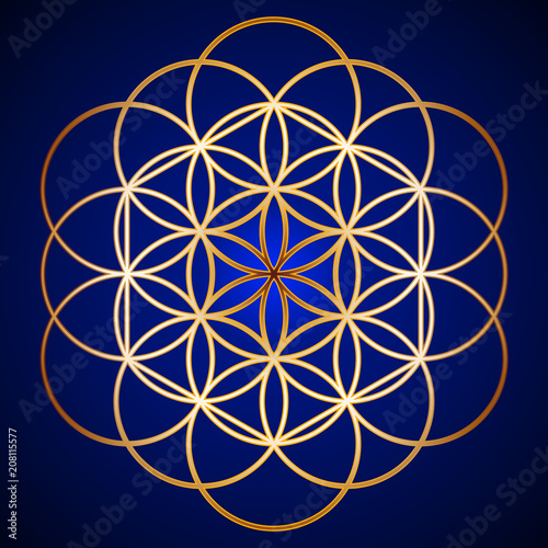 Gold Flower of Life on background