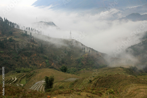 Terraced fields in Sapa area, Vietnam 