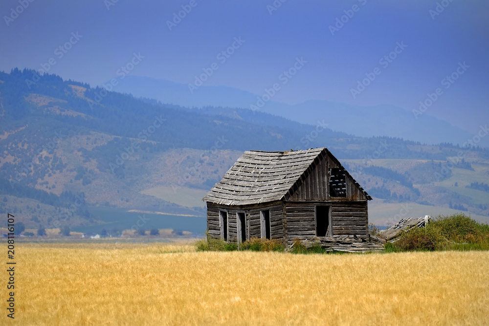 Cabin Old Homestead on Farmground Field of Grain Cabin Old Homestead on Farmground Field of Grain