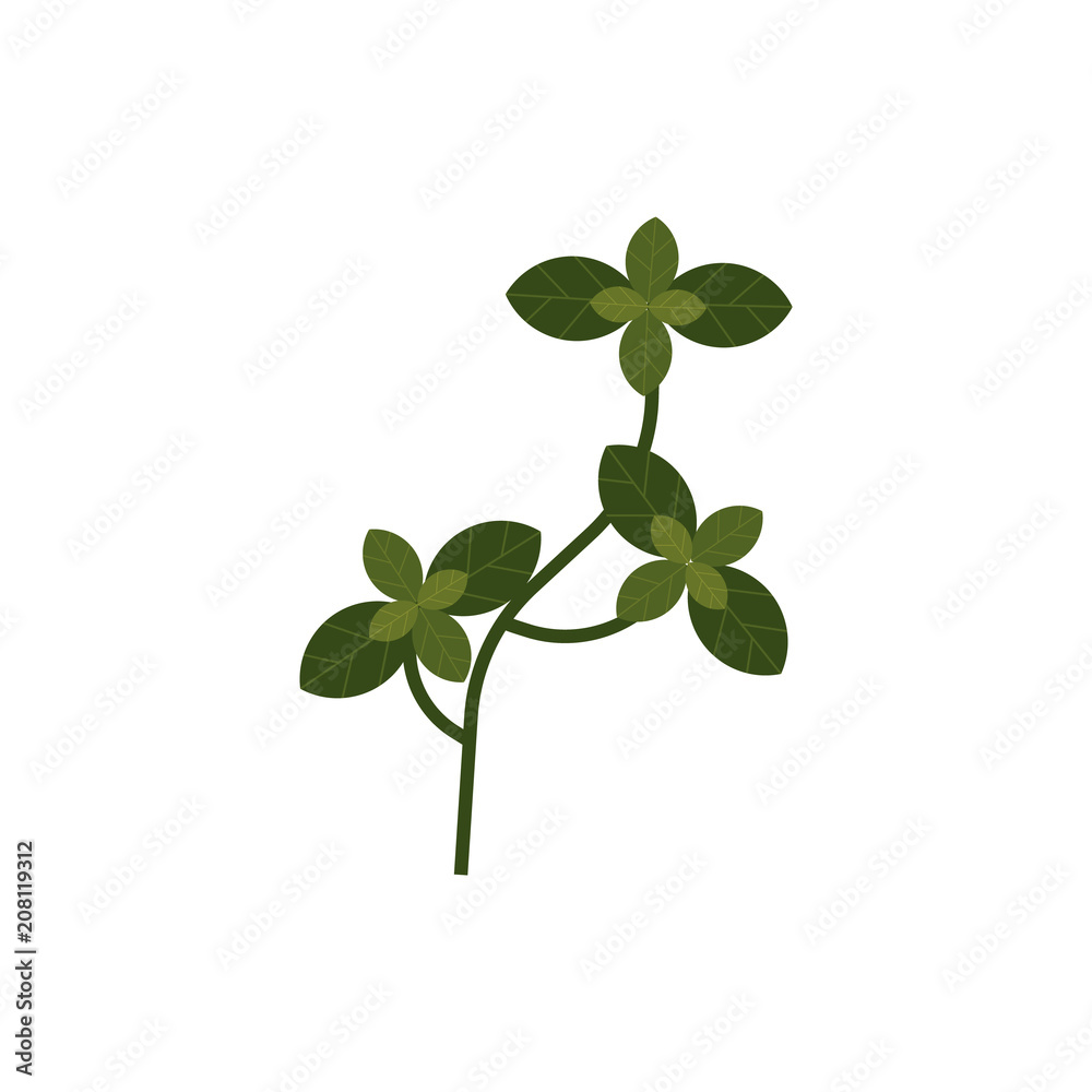 Raw basil herb branch with green leaves icon. Red healthy food, condiment full of vitamins. Fresh nutritions source, dieting and healthy life style symbol. Vector flat illustration isolated Raw basil herb branch with green leaves icon. Red healthy food, condiment full of vitamins. Fresh nutritions source, dieting and healthy life style symbol. Vector flat illustration isolated