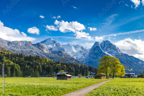 Bergwelt im Frühling