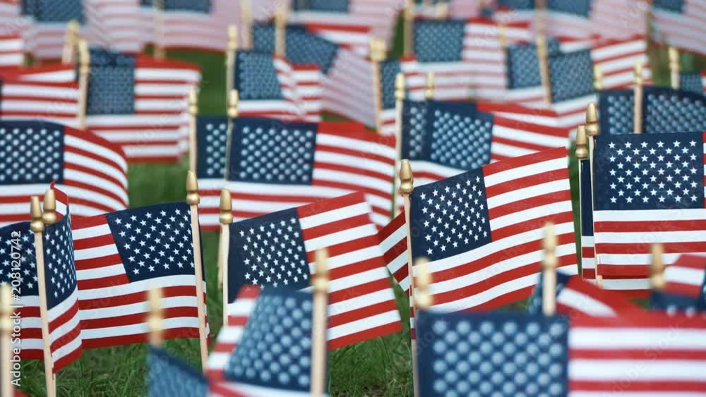 American flags in the US Independence Day American flags in the US Independence Day