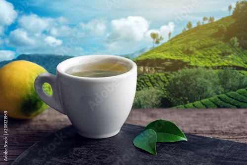 Cup of hot green tea with lemon on the background of plantations. Concept tea beverage industry