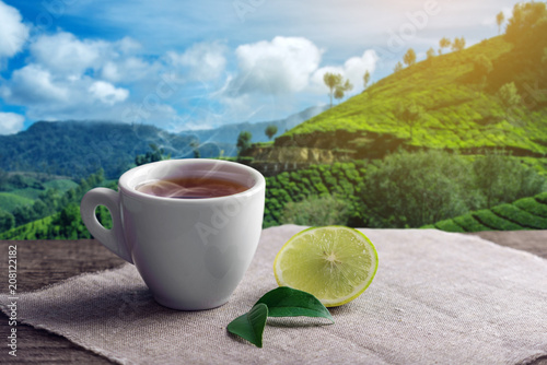 Cup of hot tea with a piece of lemon on the background of plantations. Concept tea beverage industry