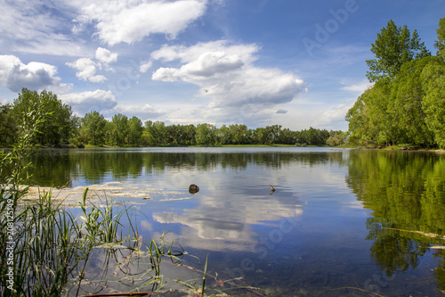 View of a lake on a beautiful summer day, some clouds in the sky and trees around
