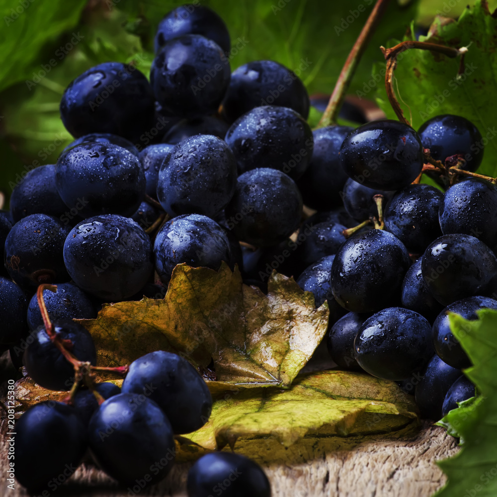 Fototapeta premium Blue wine grapes with vine and green leaves, rustic still life, vintage wooden background, selective focus