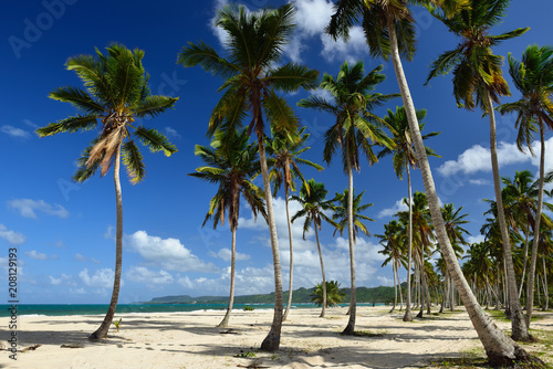 The wild beach and hard to reach on the Samana peninsula in Dominican Republic