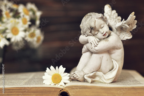 Tableau sur toile Guardian angel sleeping