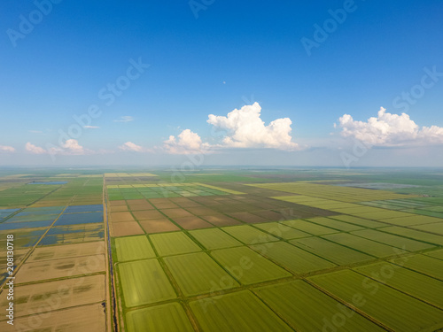 The rice fields are flooded with water. Flooded rice paddies. Agronomic methods of growing rice in the fields. photo