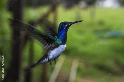 In flight