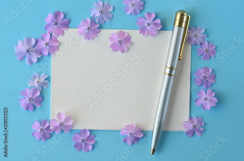 Lavender violet phlox flowers on turquoise teal blue pastel flat layout with copy space